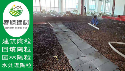 江西濾料廠家供應(yīng)水處理沉水生物陶粒 輕質(zhì)粘土陶?！?></a></div>
                    <div   id=